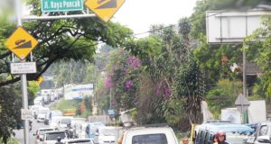 Malam Tahun Baru, Puncak Bogor Diberlakukan ‘Car Free Night’