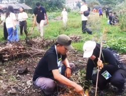 Aksi 1001 Pendaki Tanam Pohon Di Sektor Promasan Gunung Ungaran