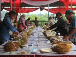 Lomba Makan Durian Ditonton Walikota Semarang, Mau Daftar ? Simak Dibawah!