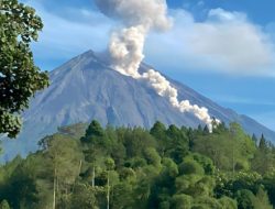 Siaga, Gunung Semeru Kembali Keluarkan Guguran Awan Panas!
