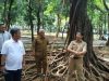 Pemda DKI Keluarkan 100 Miliar Percantik Taman Monas Yang Sempat Di Botakin Sama Anies Saat Jadi Gubernur