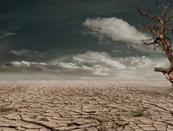 Apa Dampak El Nino Bagi Kehidupan: Ini Penjelasan Dan Persiapan Yang Perlu Dilakukan!