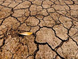 Mengenal El Nino, Fenomena Alam Penyebab Kekeringan yang Diperkirakan Akan Terjadi Pada Agustus 2023