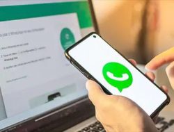 Sudah Tahu Buat Sticker WhatsApp Tanpa Aplikasi Tambahan?, Begini Caranya!