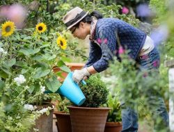 Kegiatan Berkebun dan Manfaatnya bagi Kesehatan Mental, Sudah Tahu?