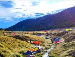 Pendakian Gunung Gede Pangrango,  Beragam Keindahan Memanjakan Mata!