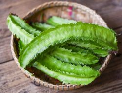 Manfaat Kecipir untuk Kesehatan Mata dan Tubuh Secara Keseluruhan