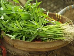 Manfaat Kangkung untuk Kesehatan Anak, Baik untuk Otak Si Kecil