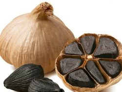 Manfaat dan Khasiat Black Garlic, Banyak Sekali Yang Gak Tahu!