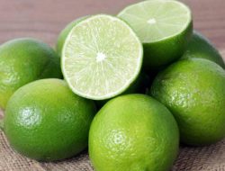 Gurah Hidung Dengan Ramuan Jeruk Nipis sebagai Bahan Utama