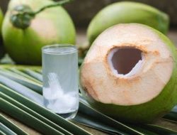 Keuntungan Minum Air Kelapa Rebus secara Rutin