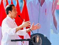 Presiden Jokowi Instruksikan, KKP Harus Genjot Hilirisasi Rumput Laut