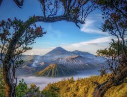 Yuk Ke Wisata Gunung Bromo, Destinasi Impian bagi Kamu Si Pecinta Alam!