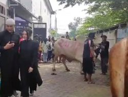 Via Vallen Dan Suami Unggah Foto Saat Berkurban Tiga Ekor Kambing, Langsung Di Cibir Warganet !