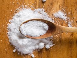 Fakta dan Mitos seputar Monosodium Glutamate (MSG)