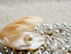 Tips Perawatan Perhiasan Mutiara untuk Menjaga Keindahan dan Kilau yang Memukau