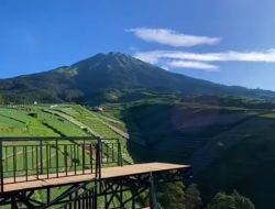 Wisata Sukamakmur Magelang, Destinasi Baru dengan Pemandangan Sawah Terasering dan Gunung Sumbing