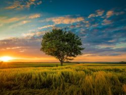 Simak Tips dan Trik Fotografi Lanskap, Hanya Fotografer Pro yang Tahu!