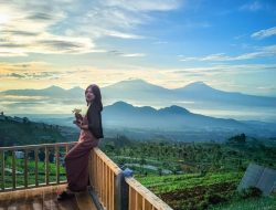 Teras Mangli Coffe and View, Tempat Ngopi Asyik dengan Pemandangan Tujuh Gunung