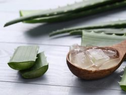 Manfaat Aloe Vera bagi Kesehatan Kulit, Aman dipakai Setiap Hari ?