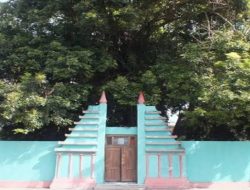 Mitos dan Misteri Pohon Keramat Ketos di Klaten: Pohon Penjelmaan Cucu Prabu Jayabaya