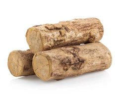 Mitos Kayu Awar Awar Diklaim sebagai Media Jimat Terkemuka dalam Metafisika