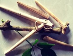 Mitos Kayu Tlogosari: Untuk Menetralisir Tanah atau Rumah Angker