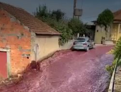 Tangki Penyulingan Anggur Merah Jebol, Satu Kota Banjir Anggur, Siap Berpesta?