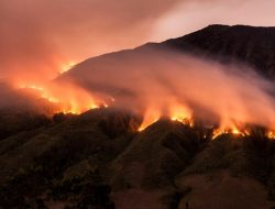 Teknik Memadamkan Api di Gunung: Tantangan dan Solusinya