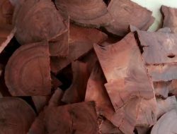 Kayu Nagasari: Pusaka Bersejarah dengan Kekuatan Mistis dalam Senjata Tradisional Indonesia