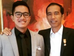 Usai Terpilih Menjadi Ketum Partai Solidaritas Indonesia (PSI) Kaesang Pangarep Bakal Sowan ke Presiden Jokowi