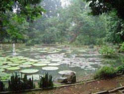 Mitos Misteri Danau Gunting Bogor