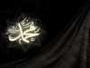 Syair Sholawat Adnaniyah, Pujian untuk Nabi Muhammad SAW yang Berasal dari Keturunan ‘Adnan