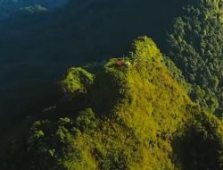 Mitos Gunung Halau-Halau: Pohon Keramat dan Aura Mistisnya