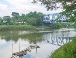 Mitos Misteri Sungai Citarum: Dari Siluman Kerbau Hingga Ikan Aneh