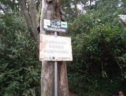 Mitos Samarantu: Pintu Masuk ke Dunia Gaib di Gunung Slamet, Benarkah?