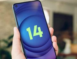 Inilah 5 Fitur Unggulan dari Android 14, Sistem Operasi Terbaru Dari Gogle