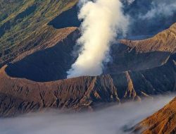 Mitos Akar Pohon Gaib yang Mematikan di Gunung Bromo