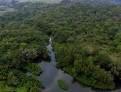 Mitos Leuweung Sancang, Hutan Keramat yang Menyimpan Mitos Prabu Siliwangi