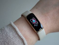 Fitbit Luxe, Pelacak Kesehatan dan Kebugaran yang Elegan dan Canggih