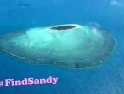 Misteri Sandy Island, Pulau Hantu yang Muncul dan Hilang di Google Maps!