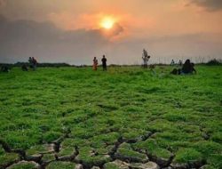 Sabana Rawa Pening: Keindahan Alam yang Kembali Memukau di Tuntang, Semarang