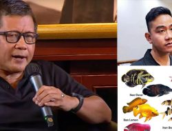 Gibran Blunder soal Asam Sulfat, Rocky Gerung: Itu Poin Minus, Lebih Baik Debat Nama-nama Ikan