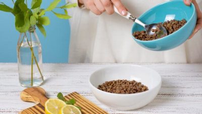 Tips Mudah Membuat Makanan Kucing Kering Sendiri untuk Kesehatan Si Purr-fect Anda
