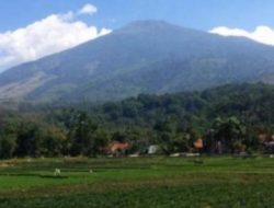 Mitos Gunung Jati dan Kehidupan Spiritual di Puncak yang Rimbun dan Angker