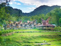 Menelusuri Keindahan Alam dan Kekayaan Budaya Tanah Toraja yang Mempesona