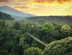 Situ Gunung Suspension Bridge: Jembatan Gantung Terpanjang di Asia yang Menakjubkan