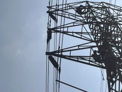 Jelang Peringatan HUT RI ke-79, PLN UIT JBB Sukses Lakukan Penggantian Isolator Tanpa Padam