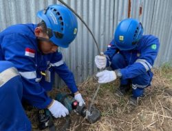 Hadapi Musim Penghujan, PLN UIT JBB Lakukan Langkah Preventif untuk Jaga Keandalan Pasokan Listrik