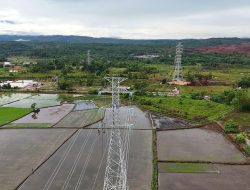 Gebrakan 100 Hari, Presiden Prabowo Resmikan 37 Proyek Ketenagalistrikan Nasional sebagai Fondasi Mengejar Target Pertumbuhan Ekonomi 8 Persen